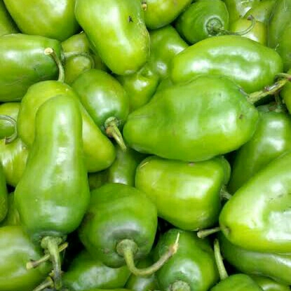Cabe Genot