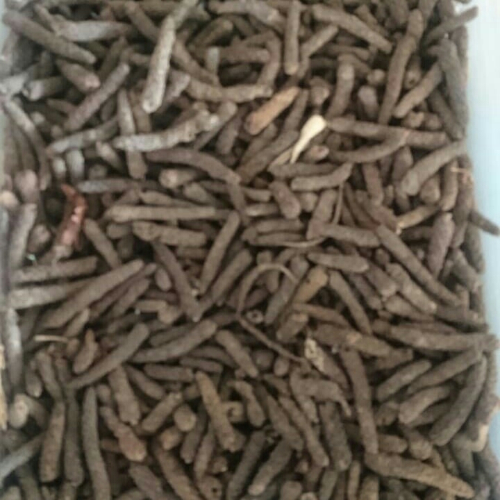 Cabe Jawa Rempah