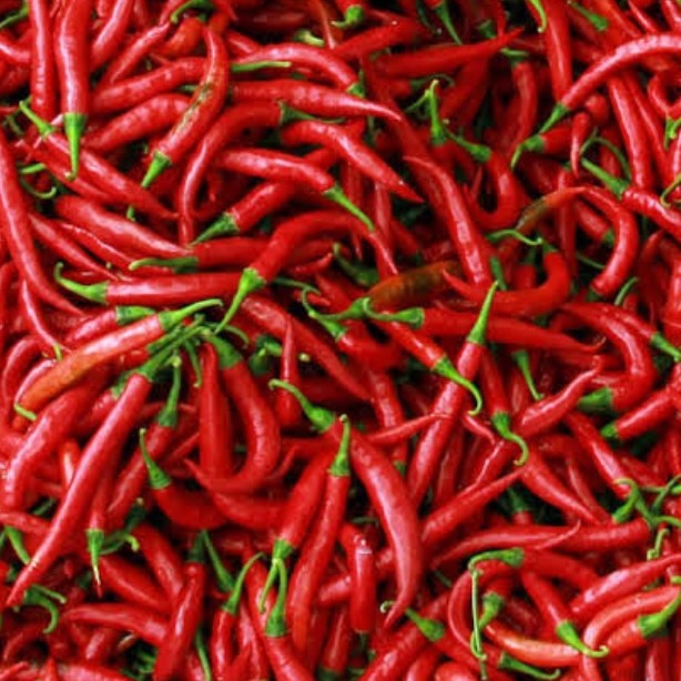 Cabe Merah 1 Kg