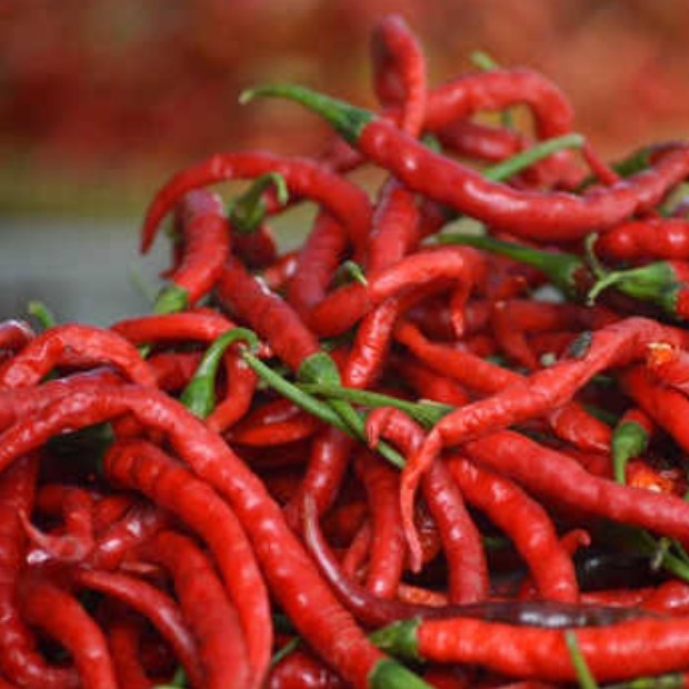 Cabe Merah 1 Kg