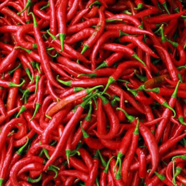 Cabe Merah 250 gr