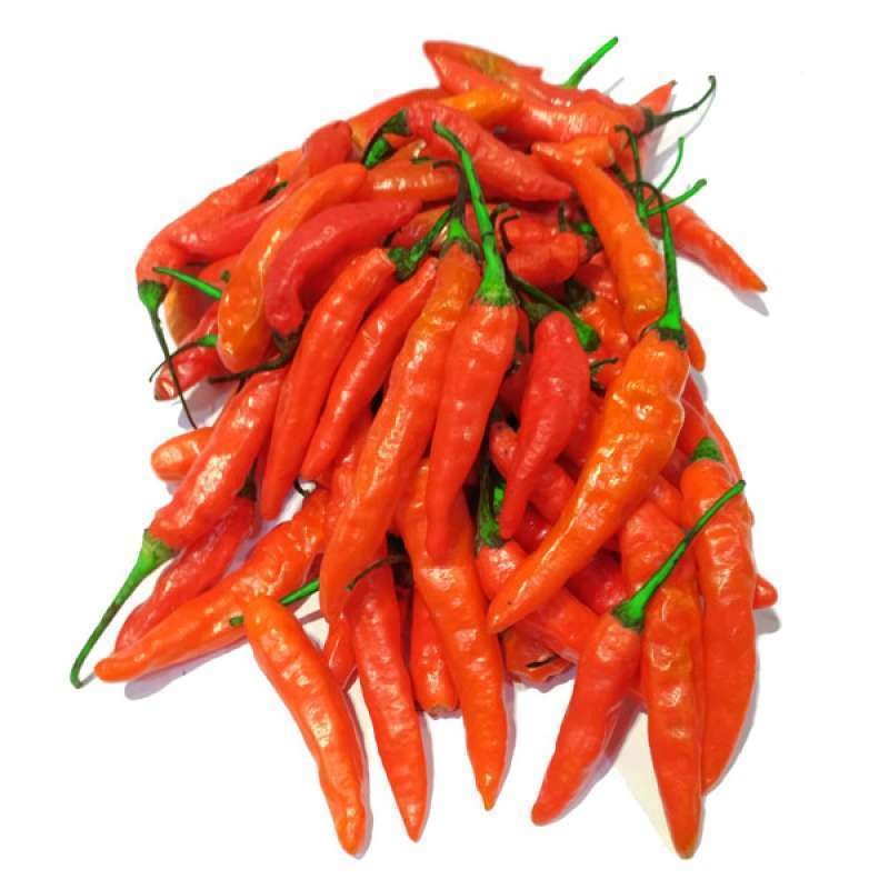 Cabe Merah Besar