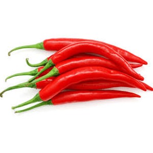 Cabe Merah Besar