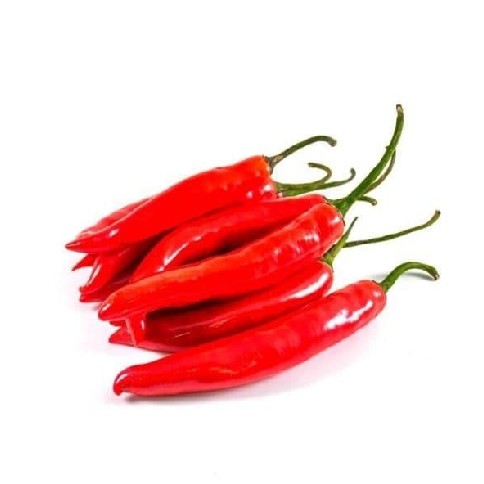 Cabe Merah Besar