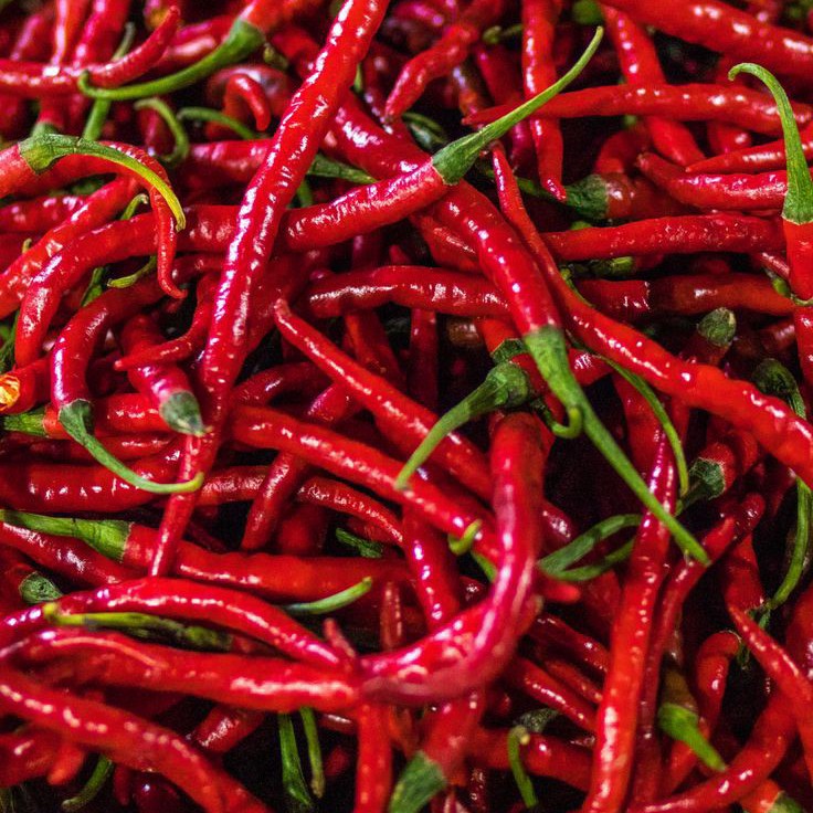 Cabe Merah Keriting