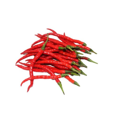 Cabe Merah Keriting