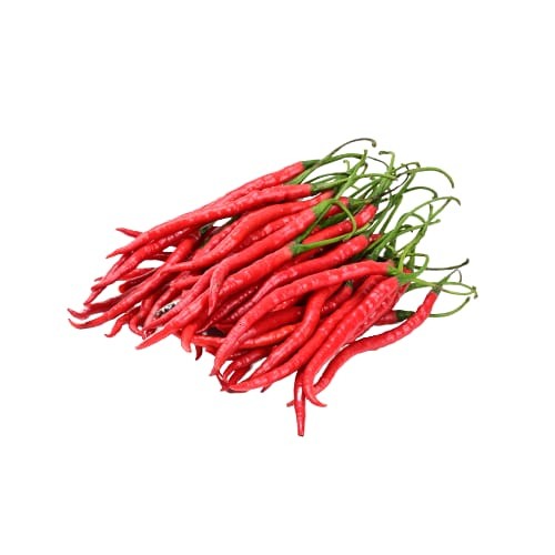 Cabe Merah Keriting