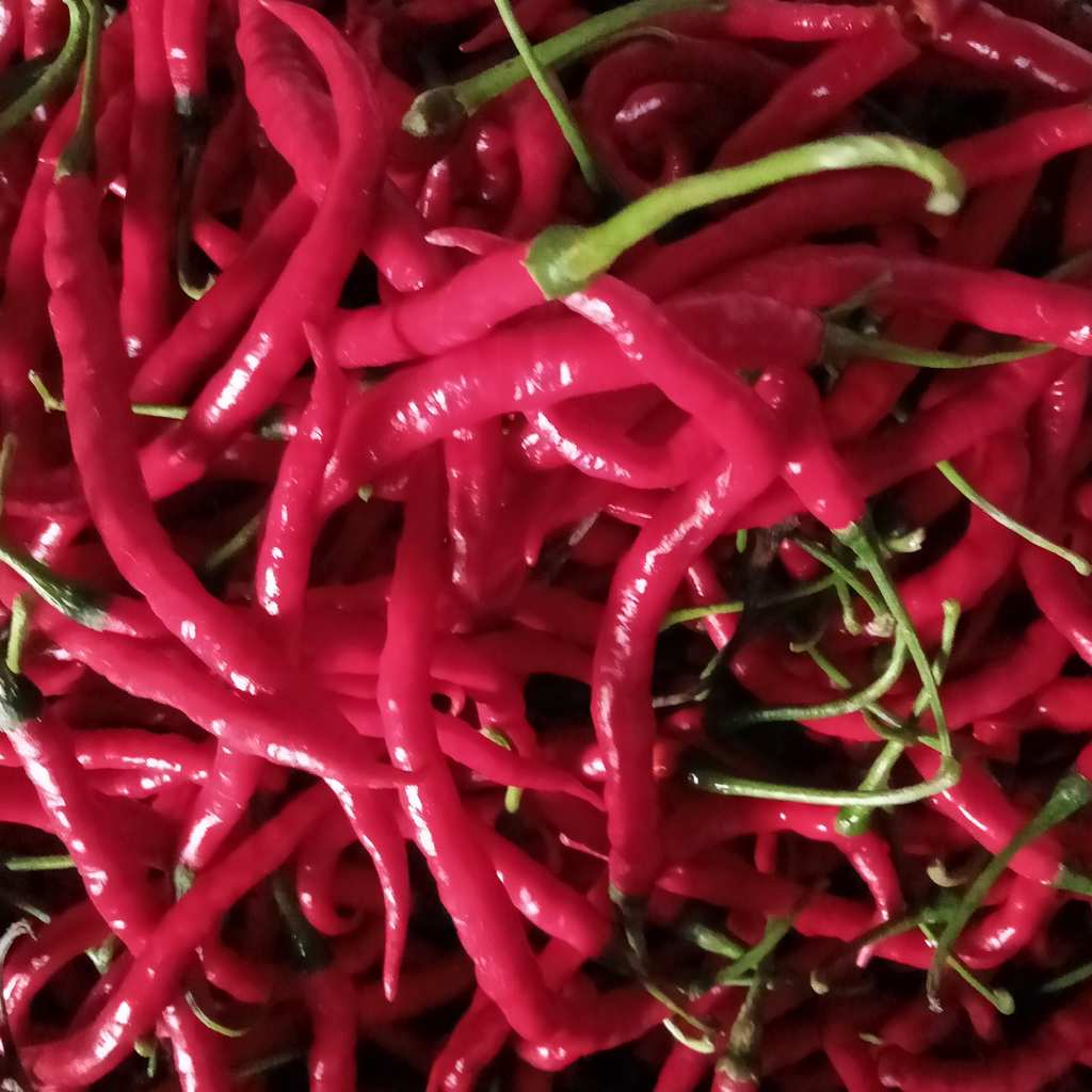 Cabe Merah Segar