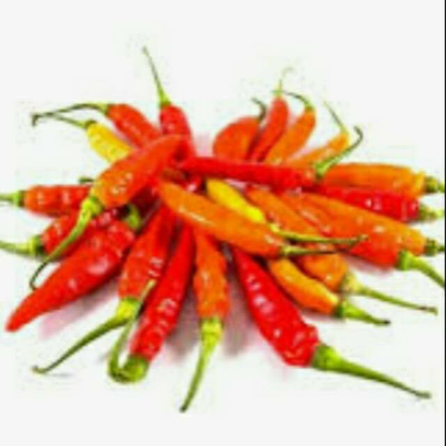 Cabe Rawit 2