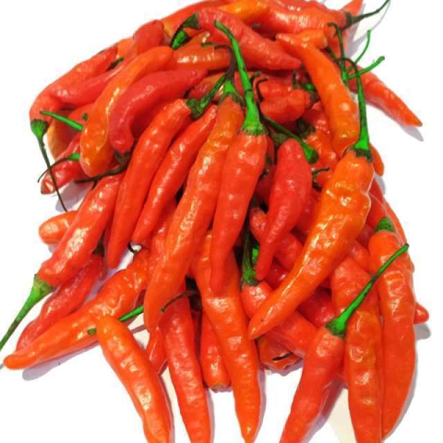 Cabe Rawit Merah