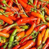Cabe Rawit Merah 250 Gr
