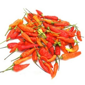 Cabe Rawit Rica