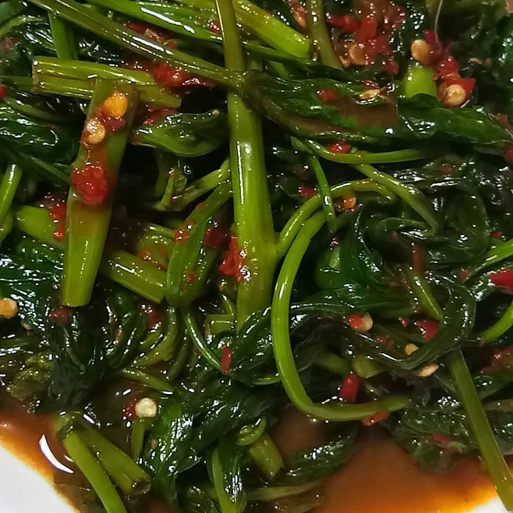 Cah Kangkung