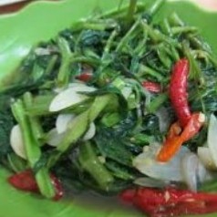 Cah Kangkung