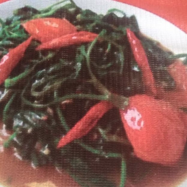 Cah Kangkung