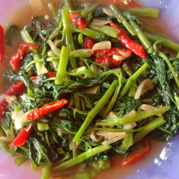 Cah Kangkung