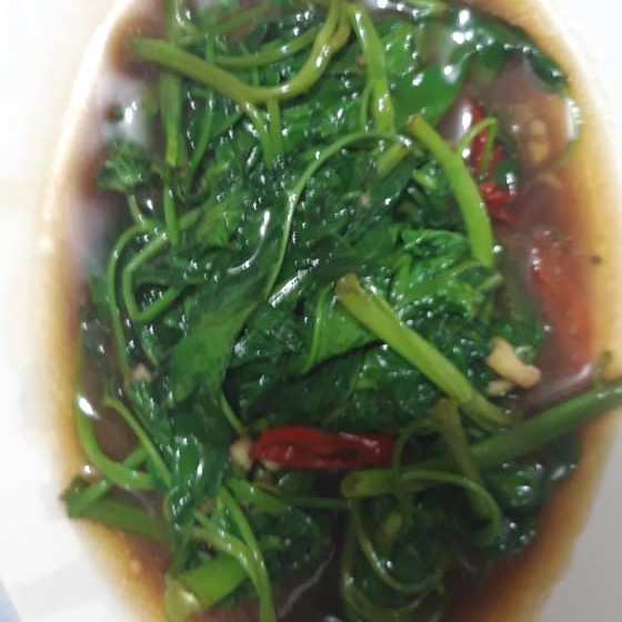 Cah Kangkung