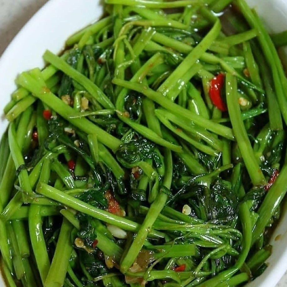 Cah Kangkung