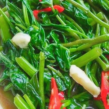 Cah Kangkung Polos