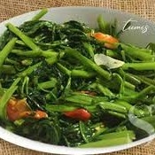 Cah Kangkung Polos