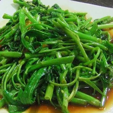 Cah Kangkung Polos
