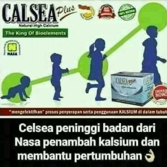 Calsea