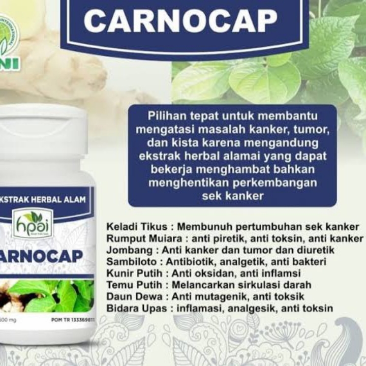Carnocap Herba Specialis Kanker Dan Tumor 2