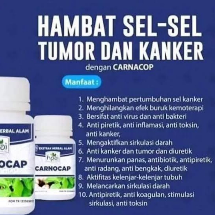 Carnocap Herba Specialis Kanker Dan Tumor 4