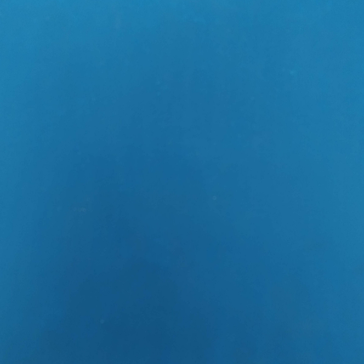 Cat Biru Type Gold