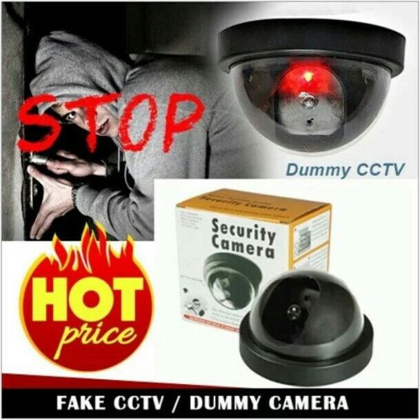 Cctv Palsu