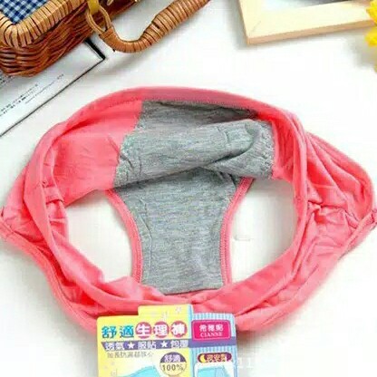 Celana Dalam Menstruasi 3