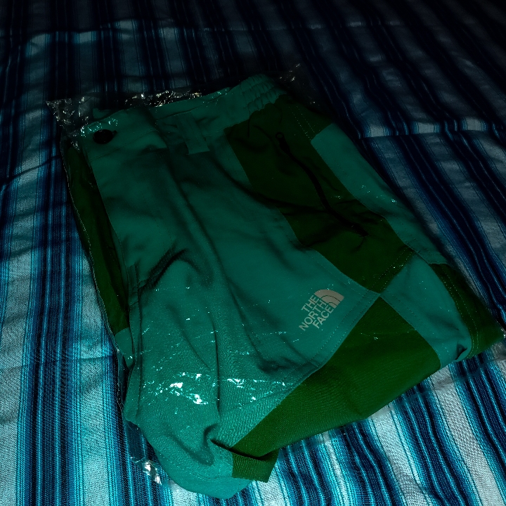 Celana Lapangan The north Face Pendek
