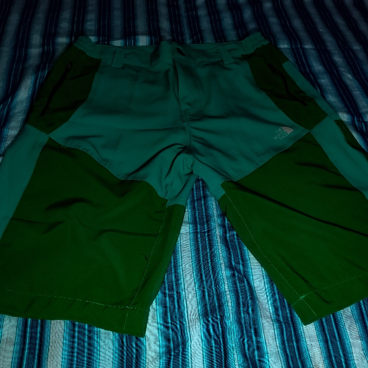Celana Lapangan The north Face Pendek 4