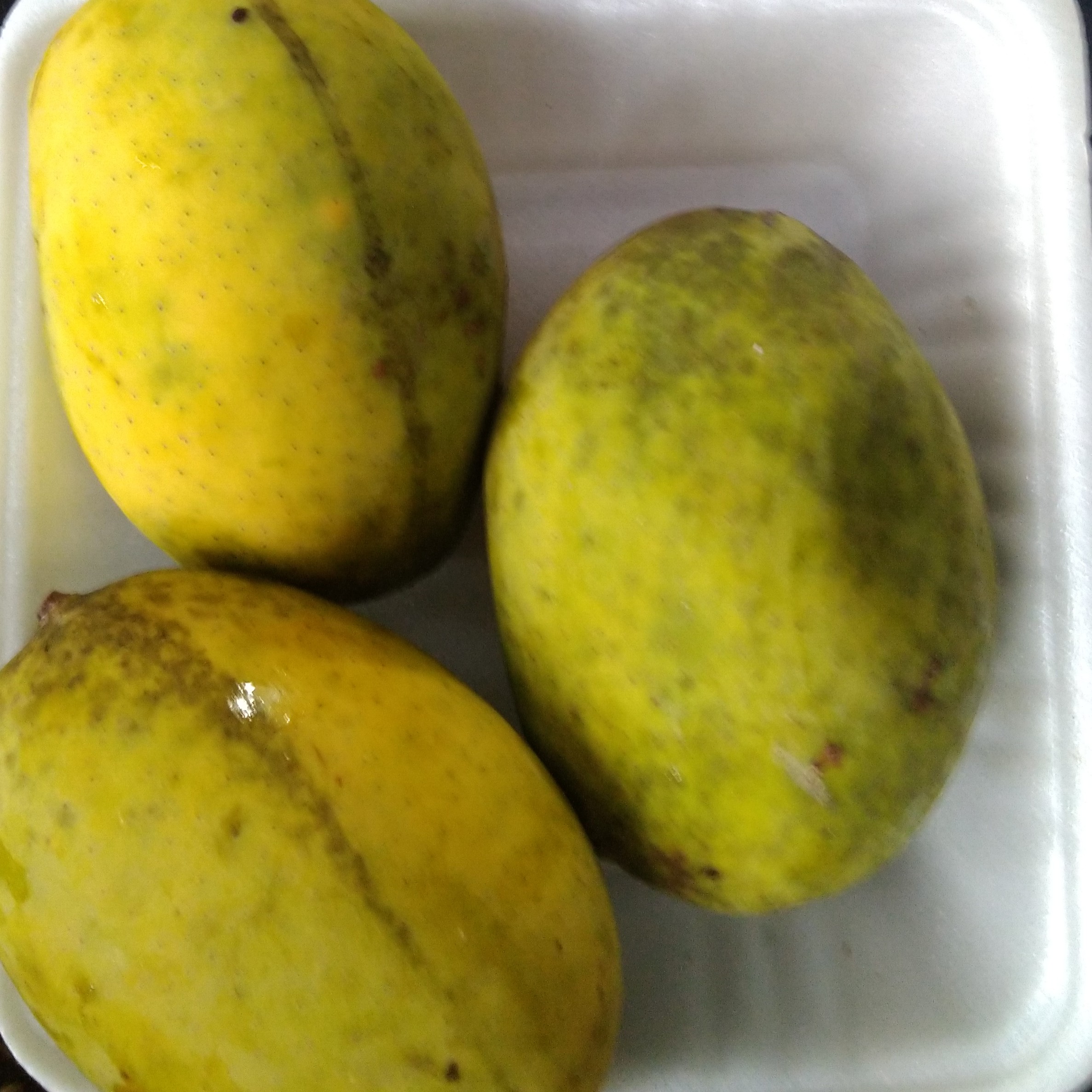 Mangga