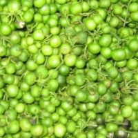 Cepokak 1 Kg