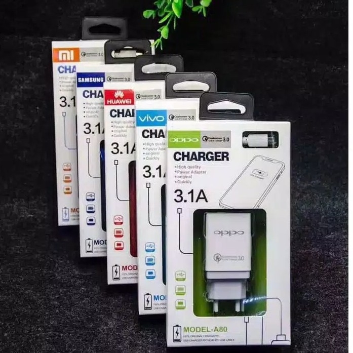 Charger 3 Ampere