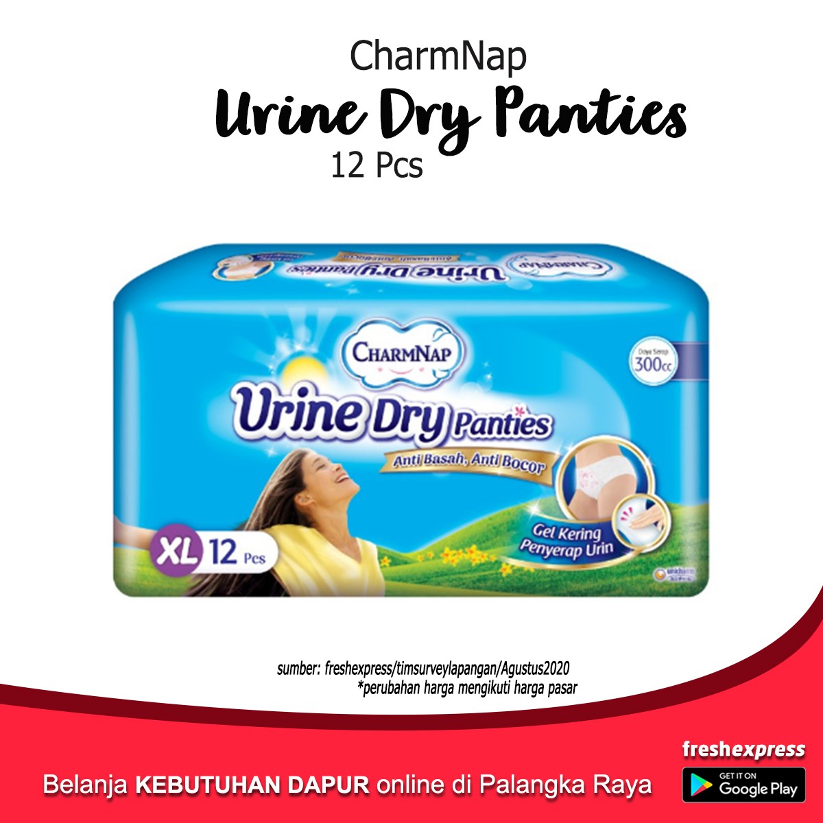 Charmnap Urine Dry Panties 300 CC 12 Pcs