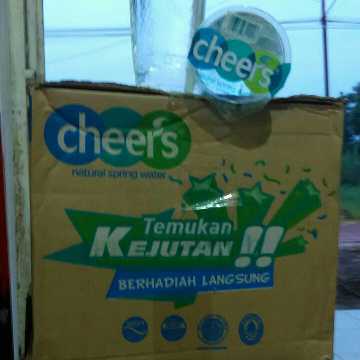Cheer Cup 240 Ml