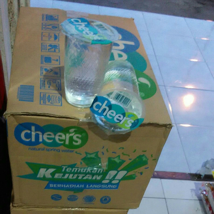 Cheer Cup 240 Ml 2