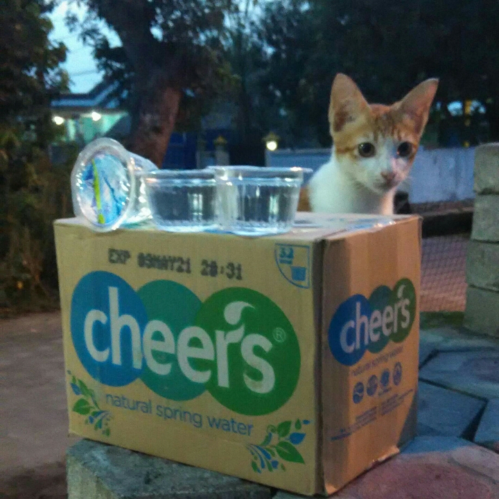 Cheers Cup Mini 120 Ml