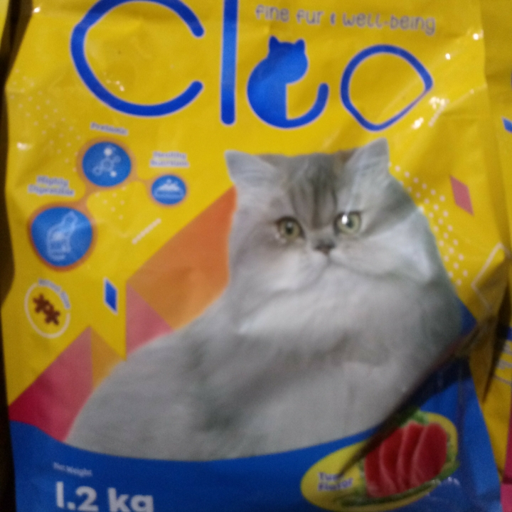 Cleo