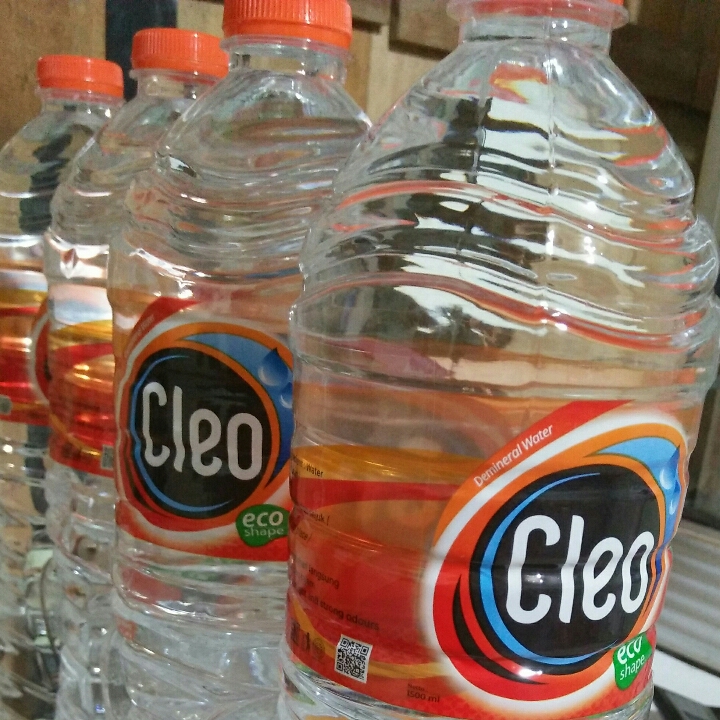 Cleo Btol Besar
