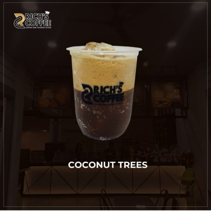 Coconut Trees