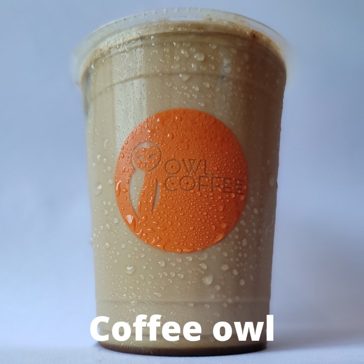 Ice Coffee Owl