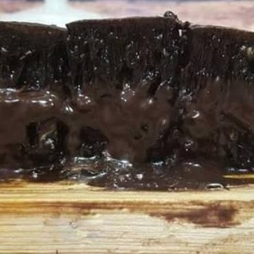 Coklat Kismis Susu