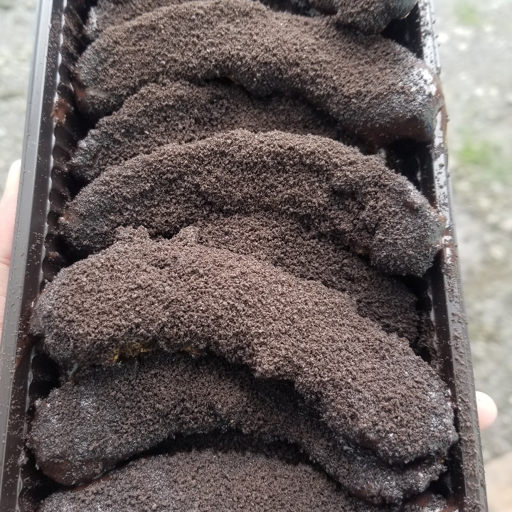 Coklat Oreo