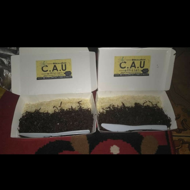 Coklat Serut Keju