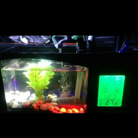 USB Dekstop Aquarium Mini With Running Water Digital Display - LS0404 4