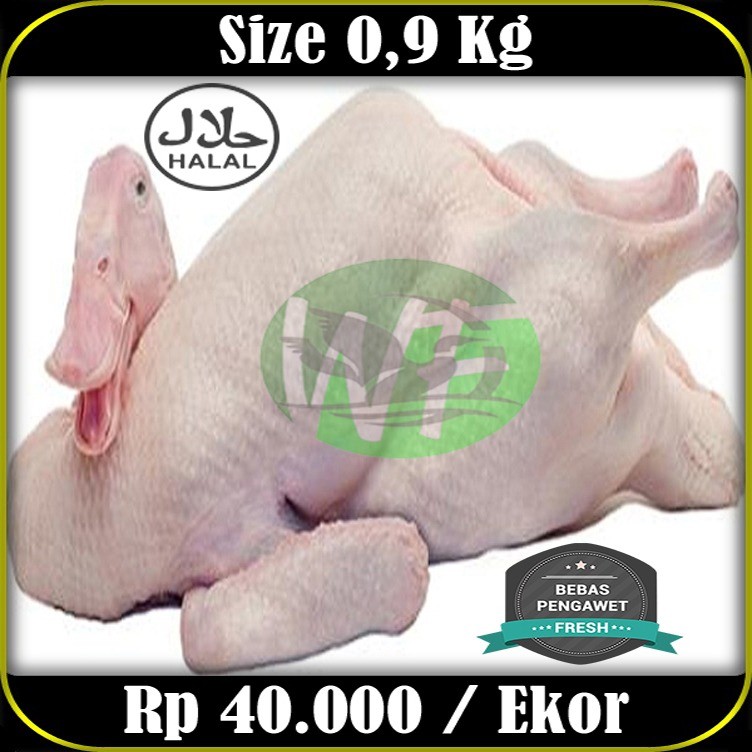 Daging Bebek Karkas Beku 900 Gram
