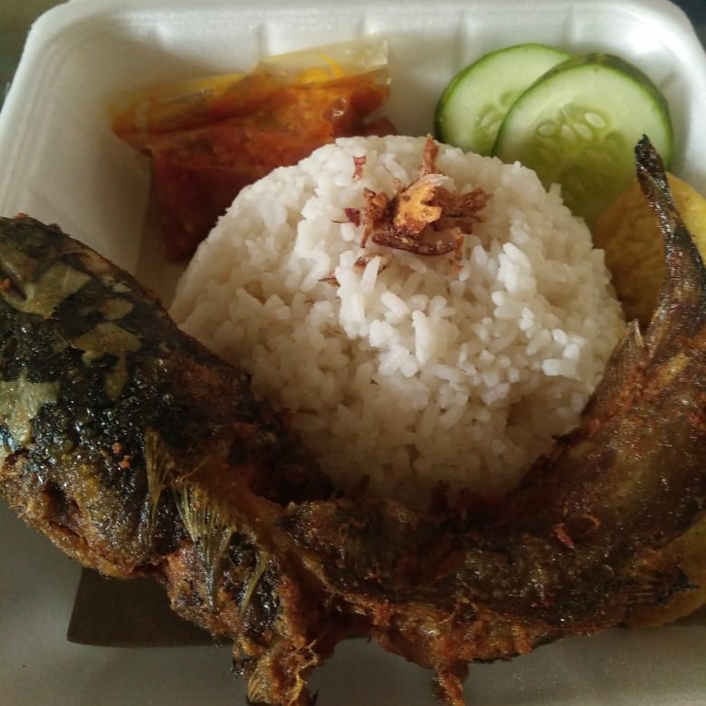 Nasi Ikan Lele